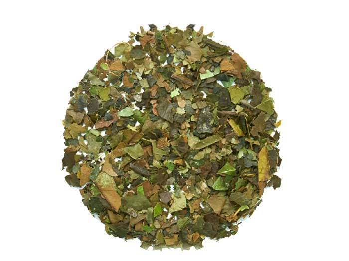 Mate tea (organic) - Ilex paraguensis