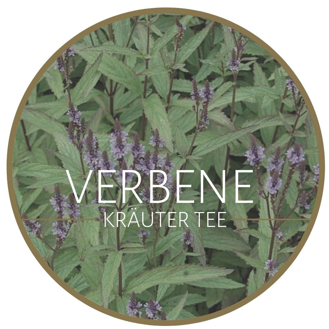 Verbene Kräutertee kaufen