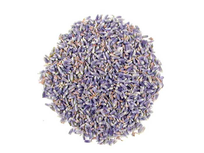 Lavender (Lavandula officinalis) (organic) 