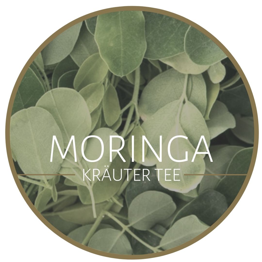 Moringa Kräutertee kaufen