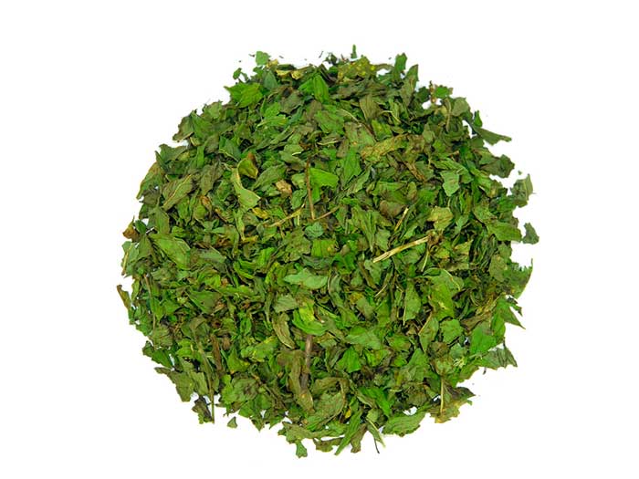 Menthe nano (menthe marocaine)