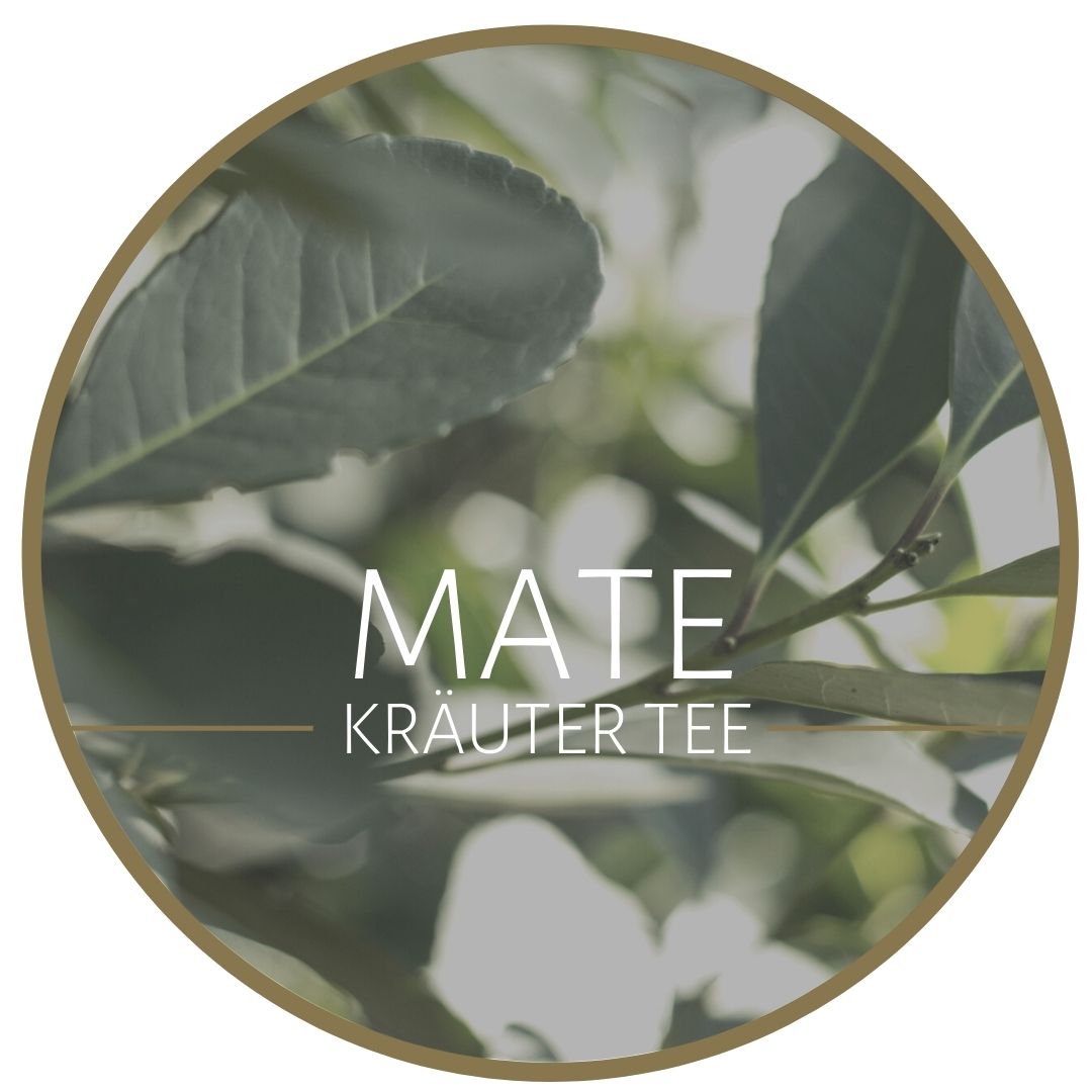 Mate Tee kaufen