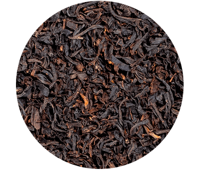 St-Petersburg - Organic